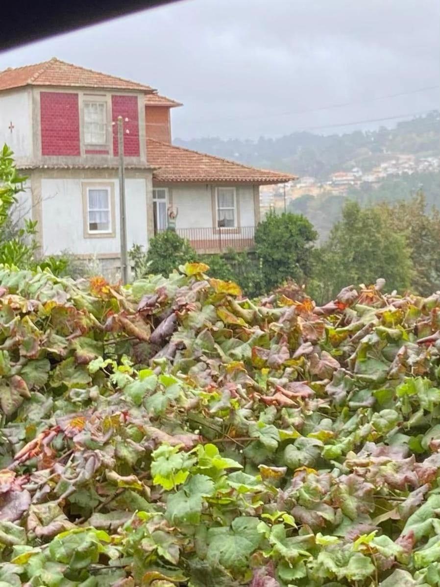 Quinta Da Chentuada Villa Amarante Ngoại thất bức ảnh