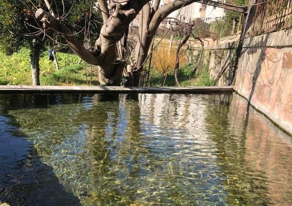 Quinta Da Chentuada Villa Amarante Ngoại thất bức ảnh